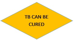 tb can be cured